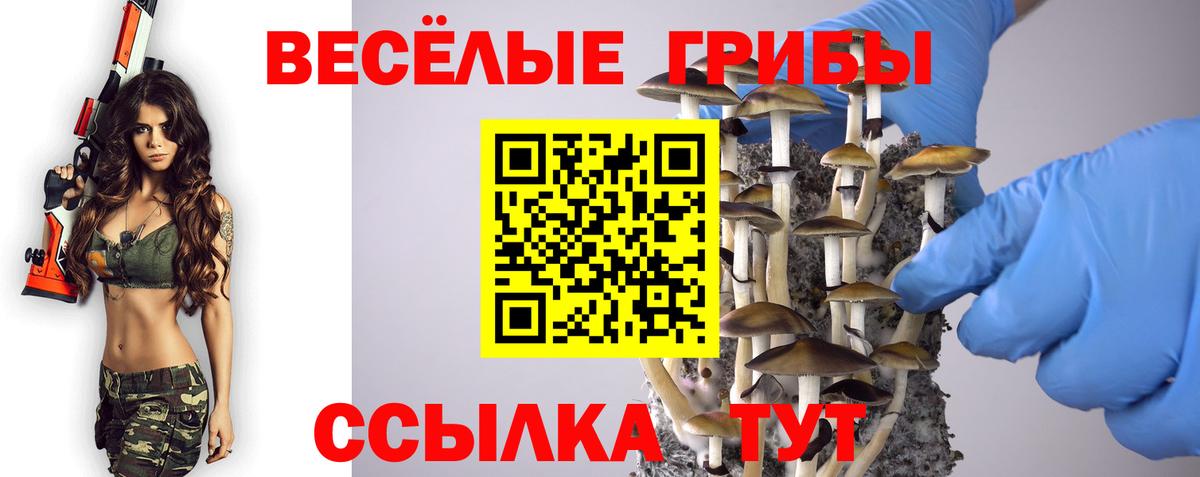 Еманжелинск  как найти наркотики  Вход с VPN  Галлюциногенные грибы мицелий  Галлюциногенные грибы мицелий 