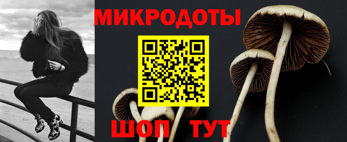 Псилоцибиновые грибы мицелий Еманжелинск